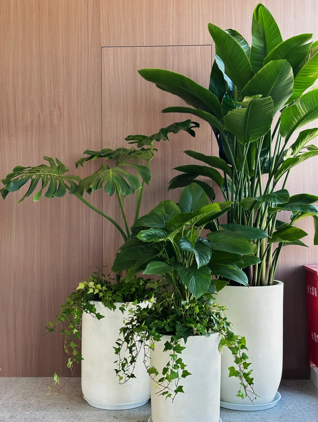 奉化绿化养护景观师-余姚室内植物出租-余姚花卉租赁方案-余姚室内花木租赁